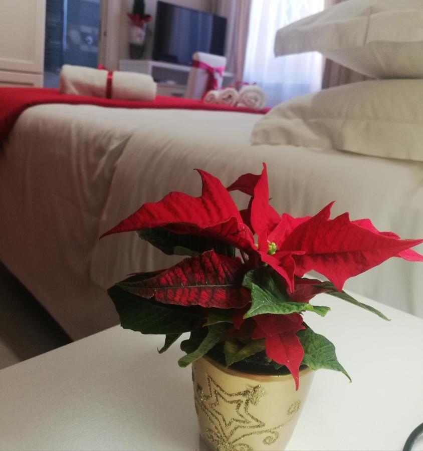L' Albero Di Giada Bed & Breakfast Caserta Eksteriør bilde
