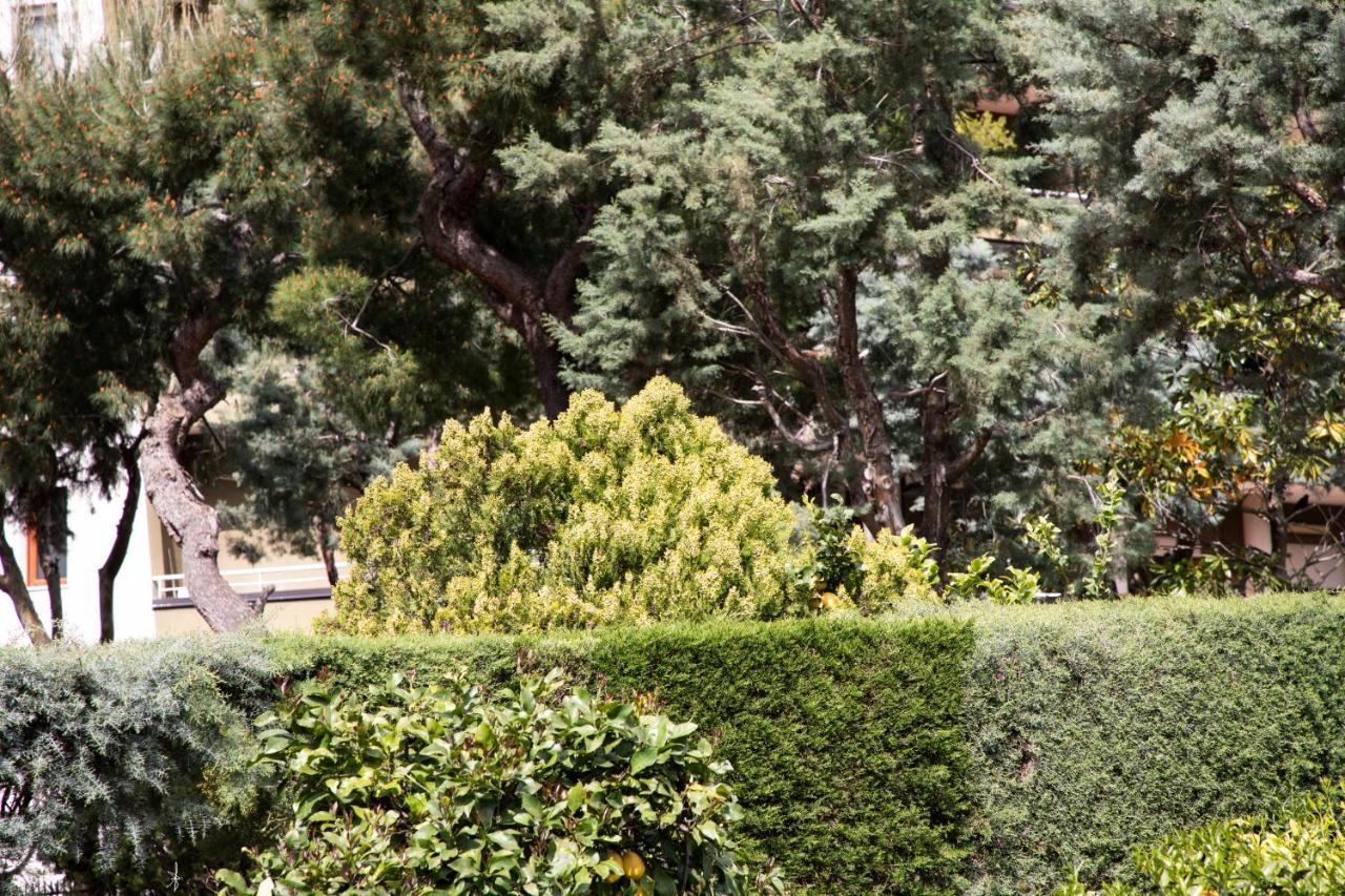 L' Albero Di Giada Bed & Breakfast Caserta Eksteriør bilde